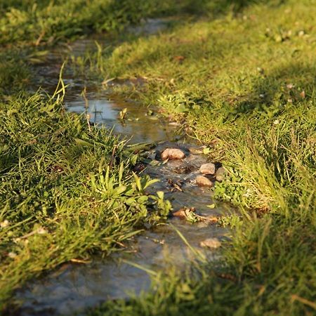 Grosse Wohnung / Haushaelfte In Peetzig Am See Angermunde Exteriér fotografie