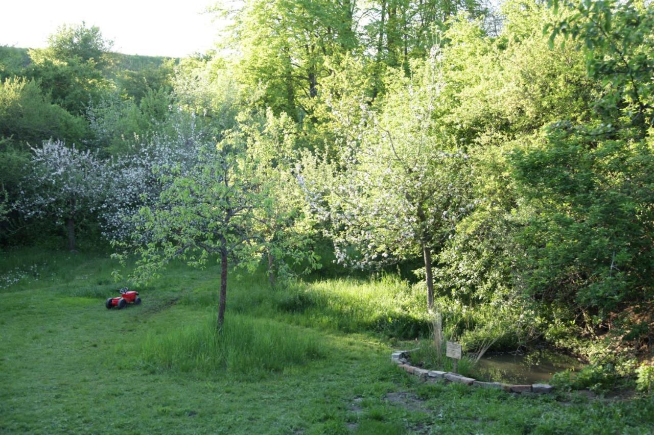 Grosse Wohnung / Haushaelfte In Peetzig Am See Angermunde Exteriér fotografie