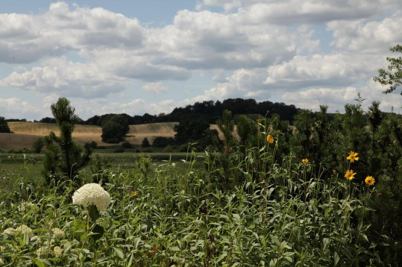 Grosse Wohnung / Haushaelfte In Peetzig Am See Angermunde Exteriér fotografie